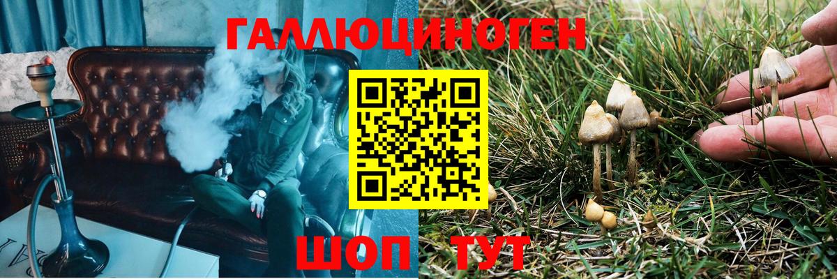 Галлюциногенные грибы GOLDEN TEACHER Осинники